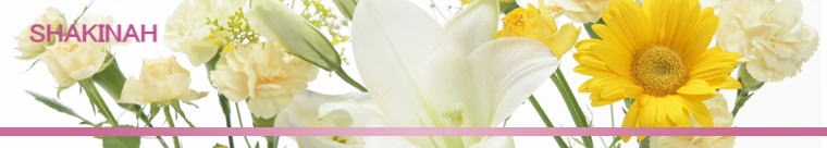 SHAKINAH
